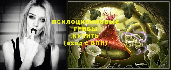 гидропоника Абаза